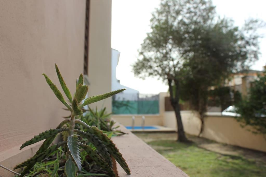 Casa Con Piscina A 20min De *